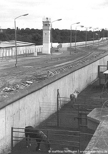 Mauerfoto: Pferdekoppel Mauerstreifen aus Neukölln