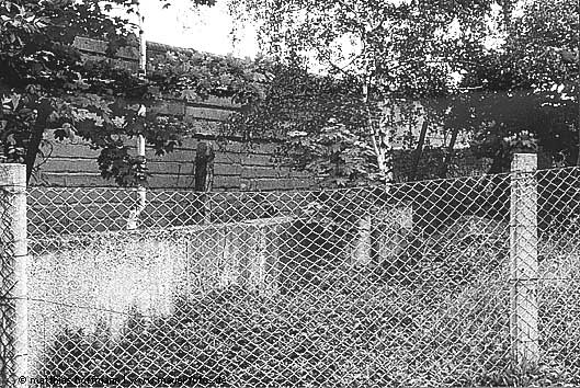 Mauerfoto: Zaunpfähle und Betonpfähle aus Schönholz