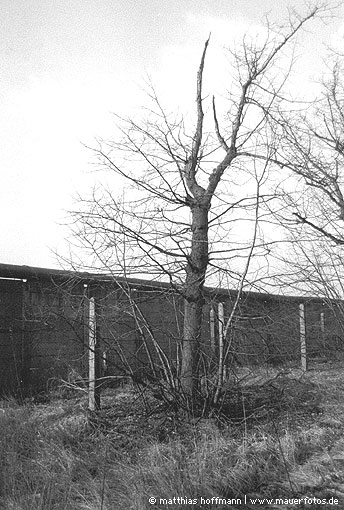 Mauerfoto: Schlagbaum aus Staaken