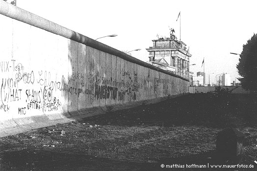 Mauerfoto: Zugewachsene Schienen aus 